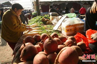 食用農產品價格微幅上揚，雞蛋漲幅達2.2%引關注