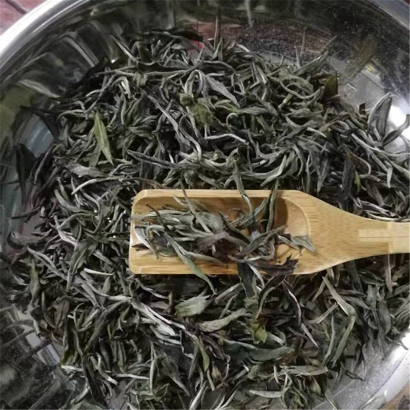 品味信陽白茶 韻潭茶葉2018年500克裝水產品零售體驗