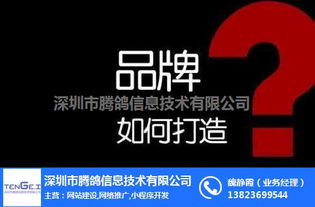 企業網絡營銷渠道的多元化發展與策略整合