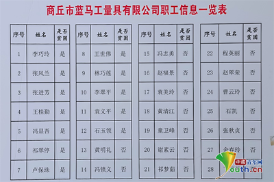 馮莊 工廠開在家里，產品賣向全球——商務信息咨詢驅動鄉村振興